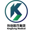 logo kingsung